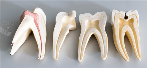 连云港儿童牙科医院排名榜，含成宏/柴氏/实鼎/恩心/麦田口腔，性价比高