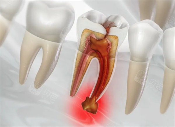 牙科内窥镜怎么连电视深度测评张家口麦格口腔医院怎么样？汇总分院地址、设备及服务特色_https://www.jmylbn.com_新闻资讯_第1张
