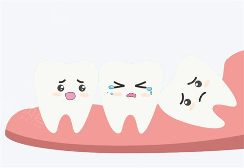 智齿动画图片