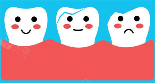 牙齿萌萌图