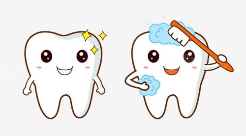 牙齿美白清洁示意图