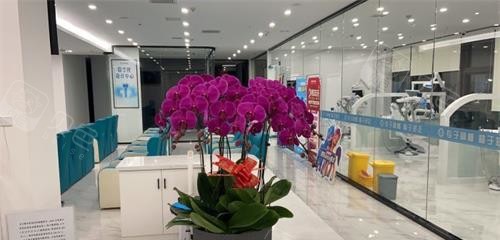 日照微笑口腔内部环境