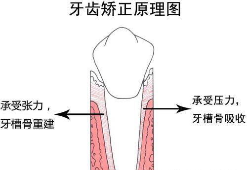 神木市看牙哪家好？德系口腔/雅乐口腔/华信口腔/荣口腔口碑好！