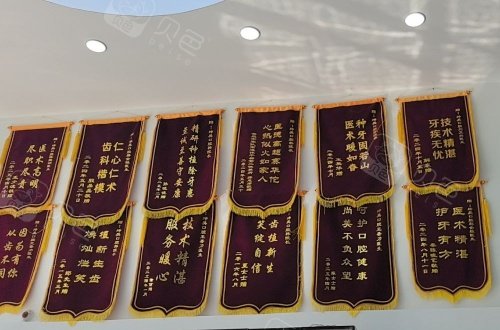 青岛坤昊口腔荣誉锦旗示意图.jpg