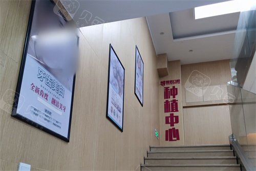 衢州雅医口腔种植中心楼梯间.jpg