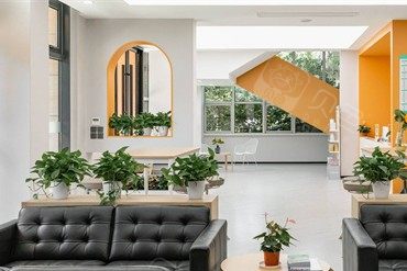 宁波诚适口腔(高新门诊部)环境图